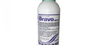 Instructions for the use of fungicide Bravo, composition and form of release of the product