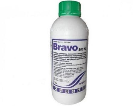 Istruzioni per l'uso del fungicida Bravo, composizione e forma di rilascio del prodotto