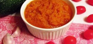TOP 7 beste recepten voor squashkaviaar met tomatenpuree voor de winter