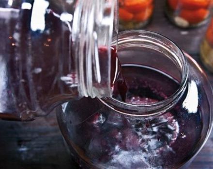 A legjobb receptek a borkészítéshez savanyú szőlőből otthon