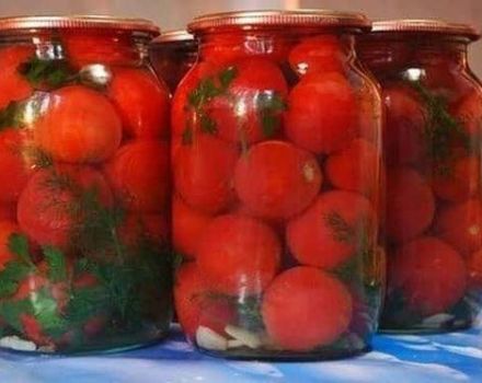 6 Schritt-für-Schritt-Rezepte zum Einlegen von Tomaten mit Knoblauch in eine Tomate für den Winter