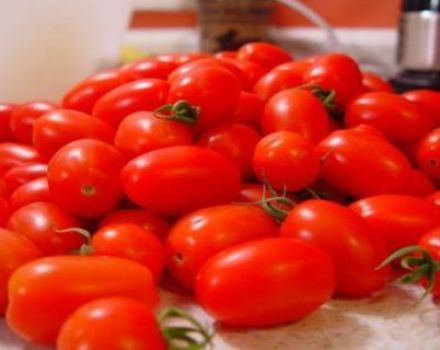 Caractéristiques et description de la variété de tomate New from Transnistria