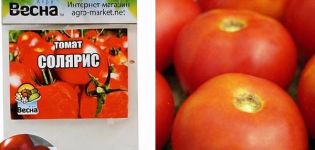 Solaris domates çeşidinin tanımı, yetiştirme özellikleri