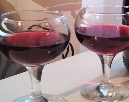 2 recepta za izradu vina od grožđa od grožđa kod kuće