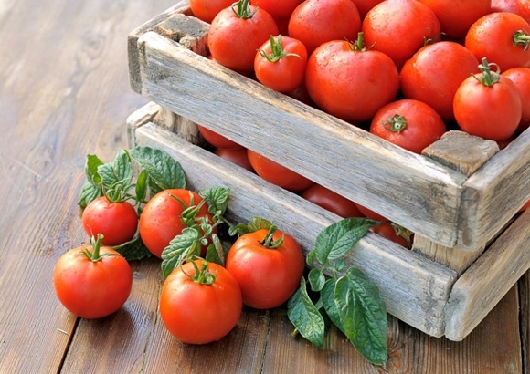 Tretyakovsky tomato in a box