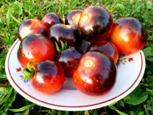 Productiviteit, kenmerken en beschrijving van de variëteit aan blauwe bessen-tomaten