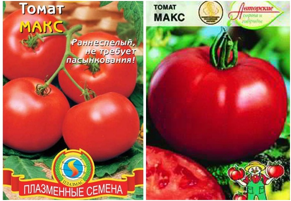tomatfrø max