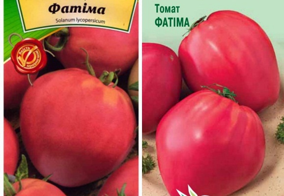 semená paradajok fatima