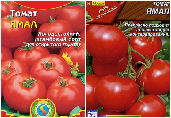 tomatfrø yamal