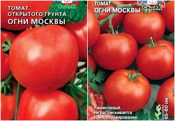 pomidorų Maskvos žibintai sėklos