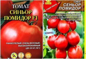 Egenskaber og beskrivelse af tomatsorten Signor tomat