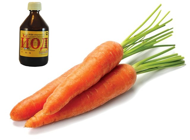 iốt cho cà rốt