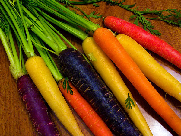 carrot varieties
