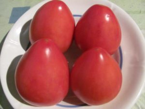 Caractéristiques et description de la variété de tomate Fatima