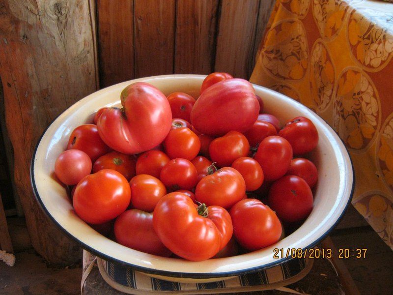 Yamal Tomate in einer Schüssel