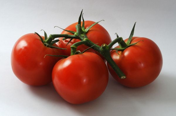 tomaatti tammi pöydällä