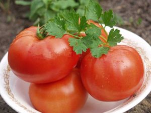 Polbig-tomaattilajikkeen ominaisuudet ja kuvaus, sen sato