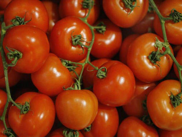 vzhľad rajčiakových paradajok Maryina Roshcha