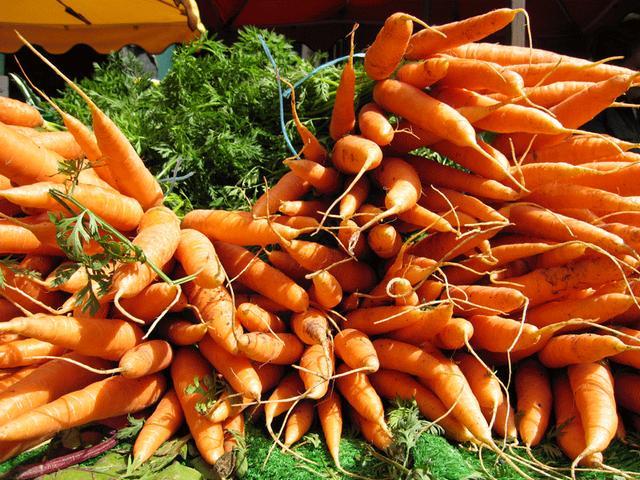carote in giardino