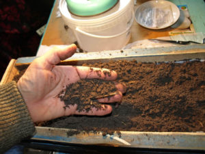 Hvordan man forbereder jorden til tomatplanter derhjemme med egne hænder