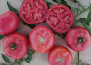 Egenskaber og beskrivelse af den lyserøde bush f1-tomatsort, dens udbytte
