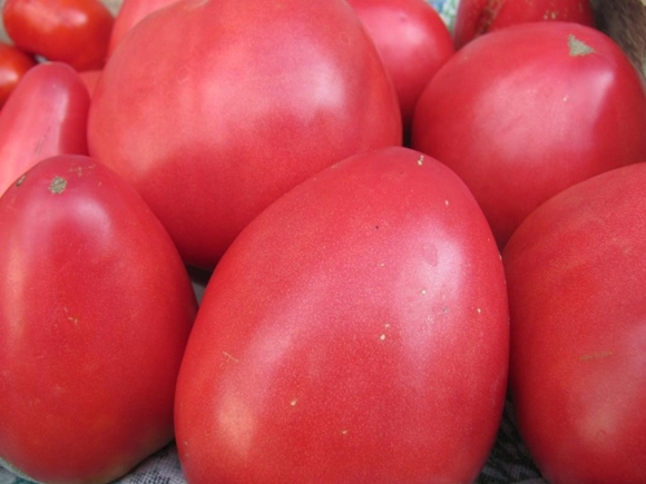 tomatørnhjerte