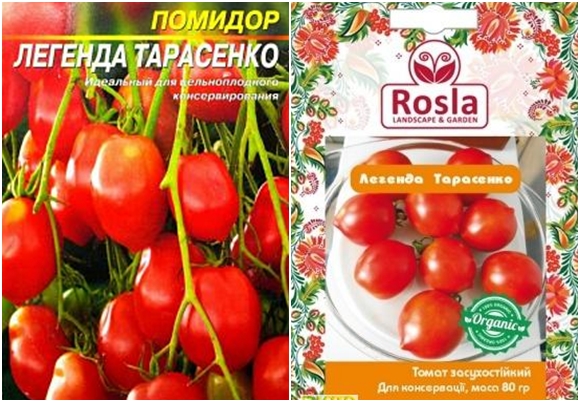 pomidorų sėklų legenda iš tarasenko