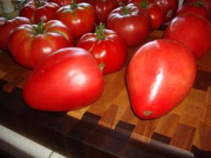 Charakterystyka i opis odmiany pomidora Mazarin, jej plon