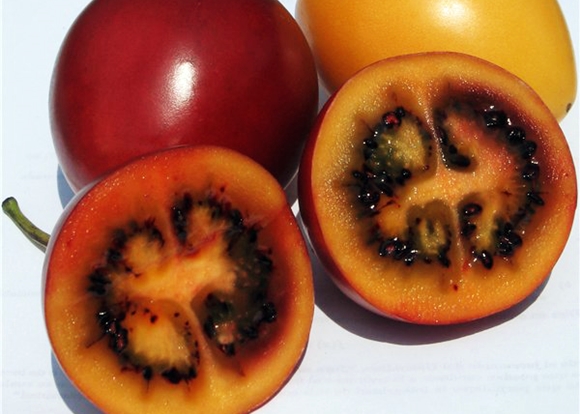 tsifomandra-tomaatti sisällä