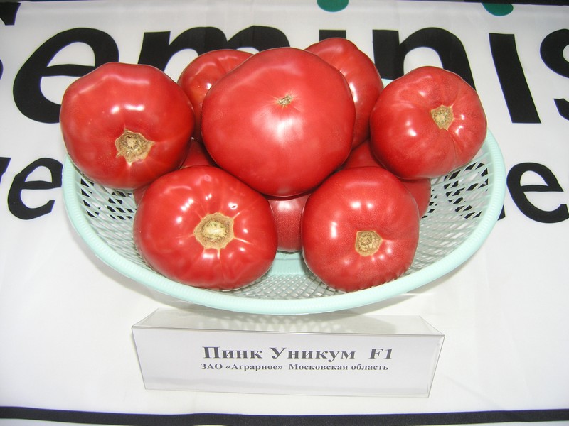 udseende af tomat lyserød unik