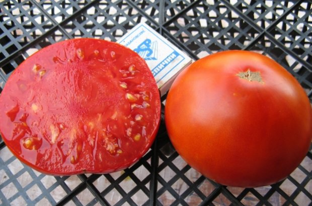 Tomaten und Begasungsmittel
