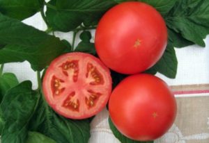 Characteristics and description of the tomato variety Anyuta, its yield