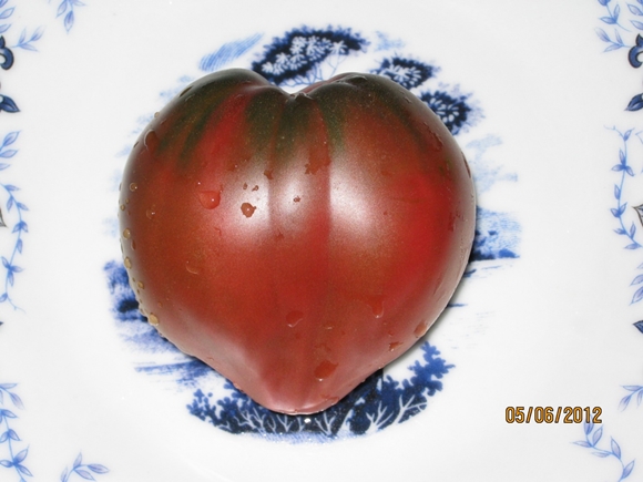 alsou rajčica na stolu
