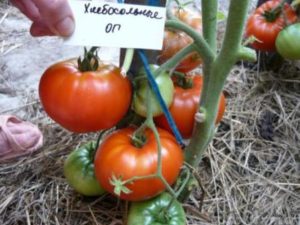 Khlebosolny-tomaattilajikkeen ominaisuudet ja kuvaus, sen sato