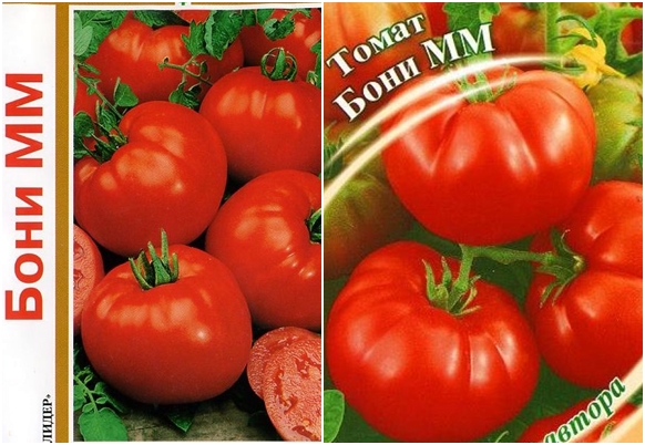 σπόροι ντομάτας boni mm