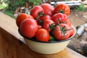 Karakteristike i opis sorte rajčice Azhur f1, njen prinos