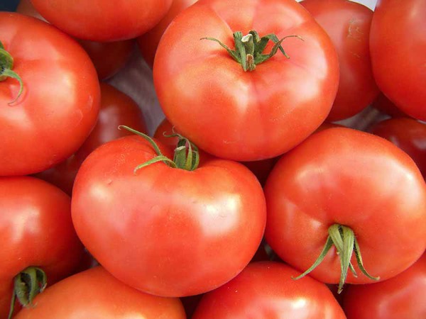 domatesler için gübre