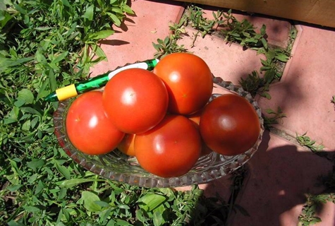 tomates Crystal F1