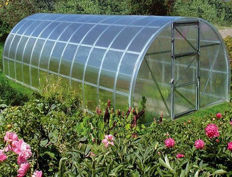 skleník v zahradě
