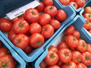 Tomaatin ominaisuudet ja kuvaus Naudanliha, millainen lajike, sen sato