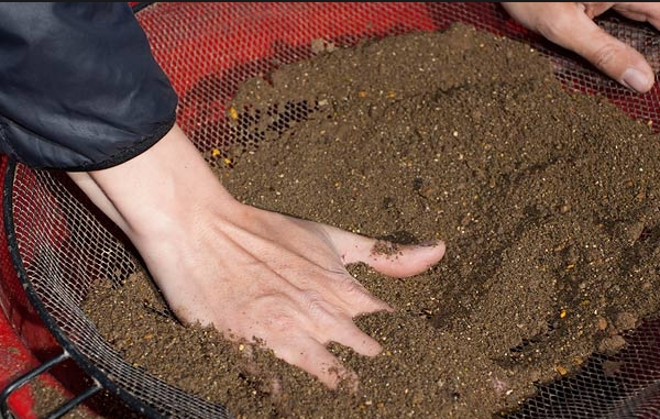 sifting the soil through a sieve