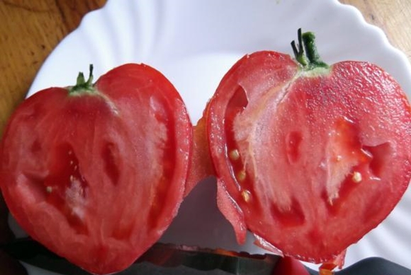 liellopa sirds tomāts