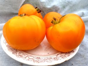 Kenmerken en beschrijving van het tomatenras Orange Strawberry German, de opbrengst