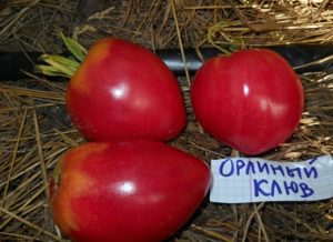 Charakterystyka i opis odmiany pomidora Dziób orła, plon