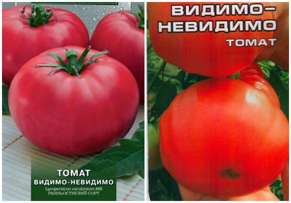 semillas de tomate aparentemente invisibles