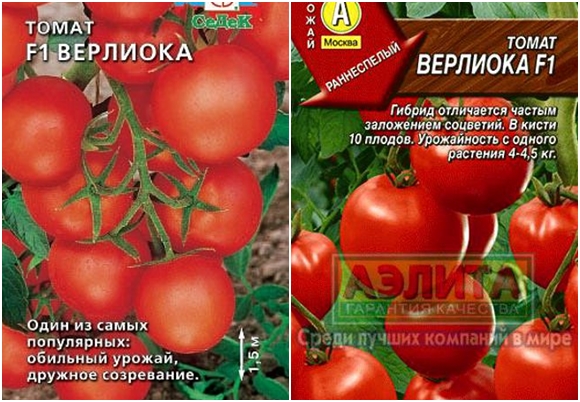 semillas de tomate verliok