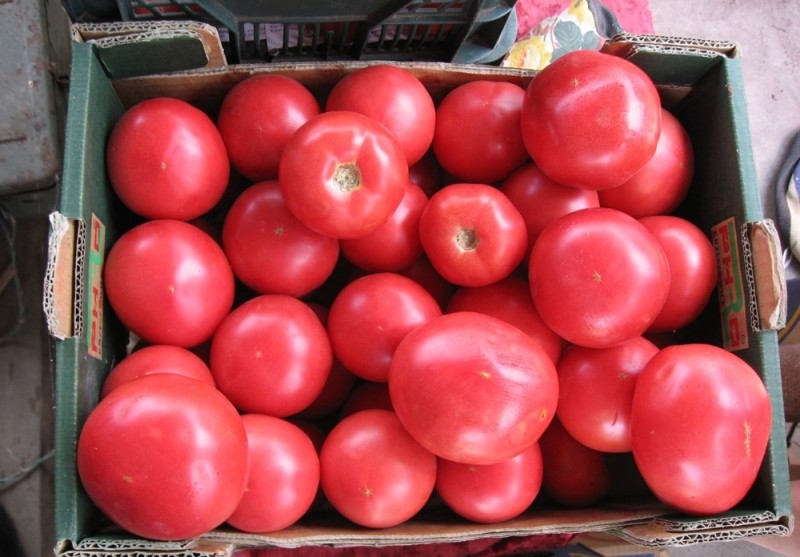 vaaleanpunaiset tomaatit ainutlaatuinen laatikossa