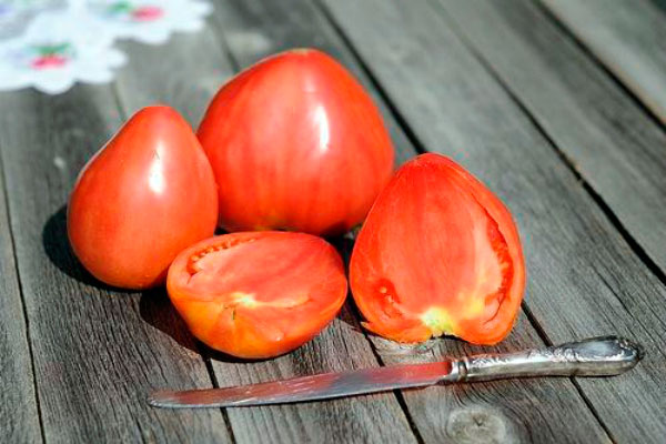 výrez z paradajok