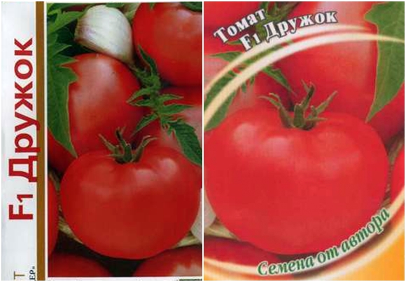 طماطم Druzhok F1