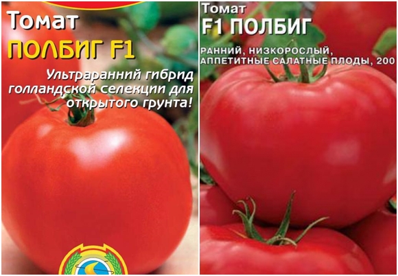 tomaatin siemenet tomaatit Polbig F1